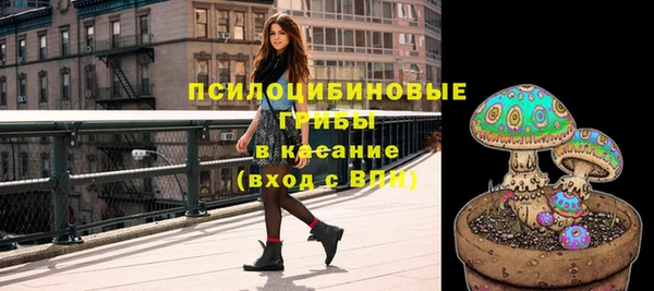 каннабис Бородино
