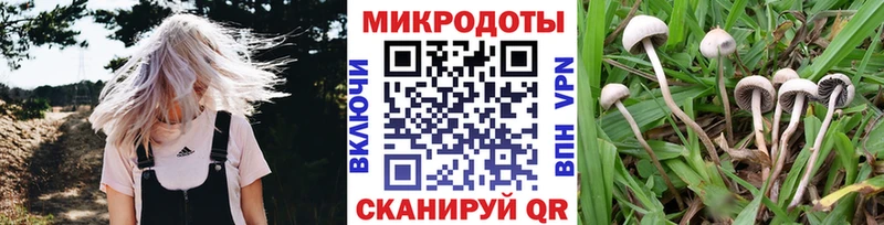Галлюциногенные грибы ЛСД  как найти закладки  Карпинск 
